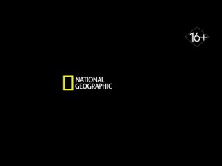 2018, survival instinct. china - tribe (national geographic hd) 16